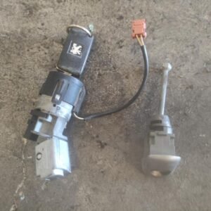 Juego completo de bombines Peugeot 207 1.6 HDi (110 cv)