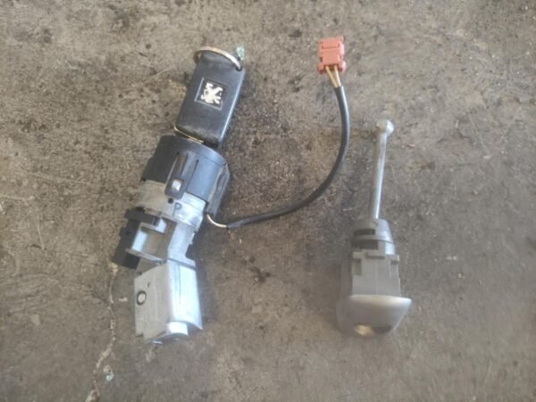 Juego completo de bombines Peugeot 207 1.6 HDi (110 cv)