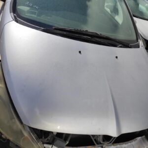 Capot Mitsubishi Grandis 2.0 DI-D (136 cv)