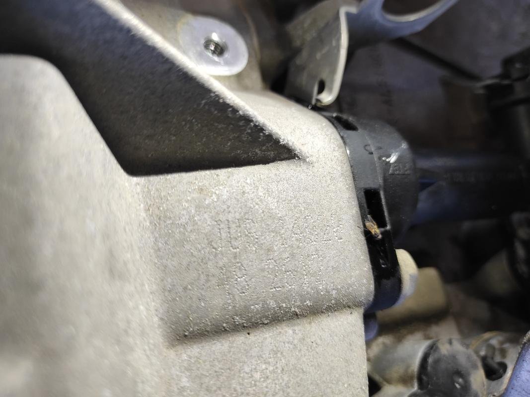 Caja cambios Seat Ibiza III 1.2 12V (64 cv) - Imagen 4