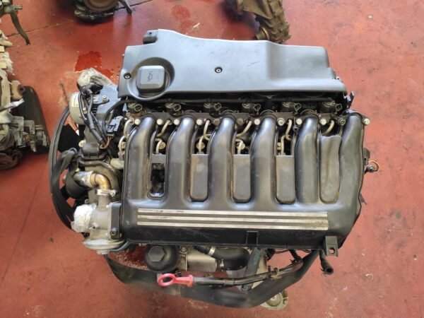 Motor Bmw X5 (E53) 3.0d (184 cv) Automatico
