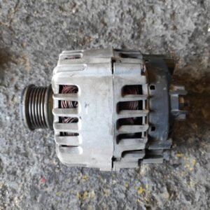 Alternador Seat Leon II (1P) 1.9 TDI (105 cv)