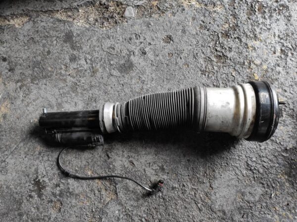 Amortiguador delantero derecho Mercedes Benz Clase S (W220) S 320 (220065/165) (224 cv)