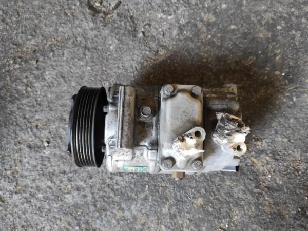 Compresor aire acondicionado Seat Leon II (1P) 1.9 TDI (105 cv)