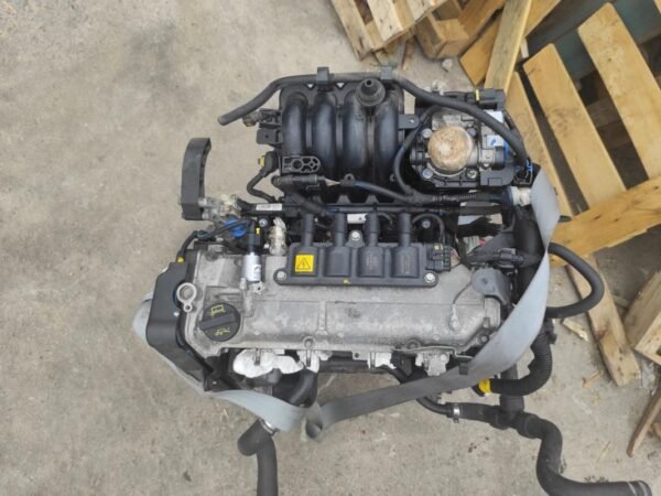 Motor Fiat Punto (2012 - Evo Versión) 1.2 (67cv)