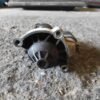 Motor de arranque Citroen ZX (N2) 1.9 D (68 cv) - Imagen 2