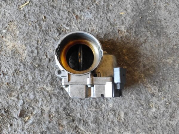 Caja de mariposa Volkswagen Golf V 1.9 TDI (105 cv)