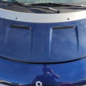 Capot Smart Forfour (454) 1.3 (454,031) (95 cv)