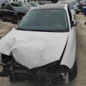 Despiece Seat Ibiza III 1.9 TDi (130 cv) 2009