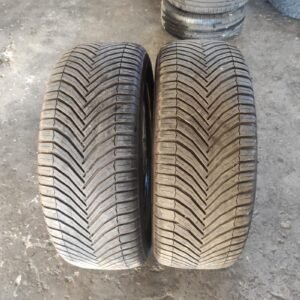 Juego de Neumáticos Michelin 255/55R18.