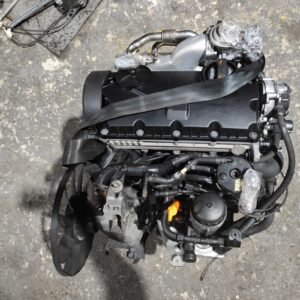Motor Volkswagen Passat (B5) 1.9 TDI (130 cv) Automatico