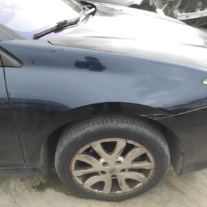 Aleta delantera derecha Renault Laguna III Grandtour 2.0 dCi FAP (150 cv)