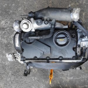 Motor Volkswagen CADDY III (2K,2C) 1.9 TDI (105cv)
