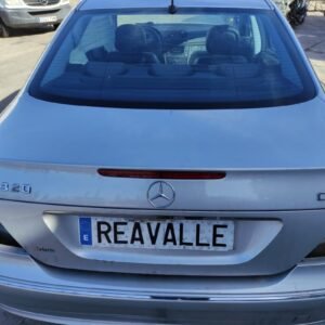 Porton trasero Mercedes Benz Clase E (W211) E 320 CDI (224 cv)
