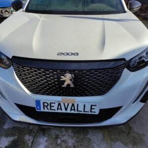 Morro completo Peugeot 2008 II (UD_, US_, UY_, UK_) 1.2 PureTech 100 (101 cv)