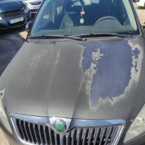 Capot Skoda Fabia II (Versión 2010) 1.2 (60 cv)
