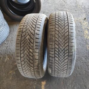 Juego de Neumáticos Tracmax 205/60R16, año 2023.