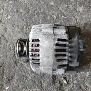 Alternador Seat Leon II (1P) 1.9 TDI (105 cv)