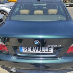 Porton trasero Bmw Serie 5 (E60, Versión 2007) 520d (177 cv)