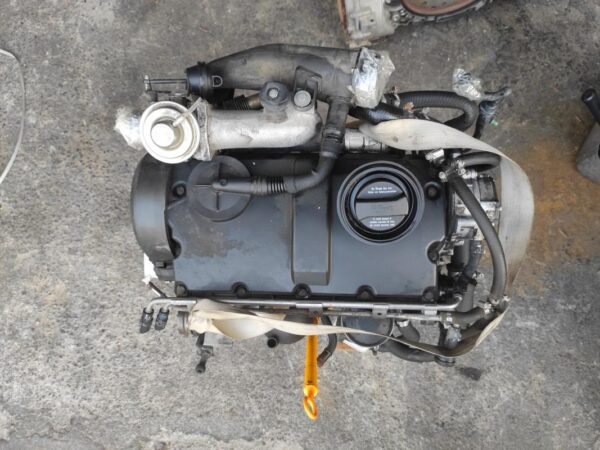 Motor Seat Ibiza III 1.9 TDi (101 cv)