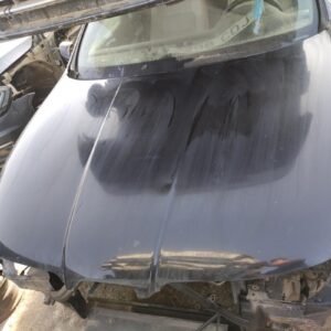 Capot Seat Toledo II (1M2) 1.9 TDI (110 cv)