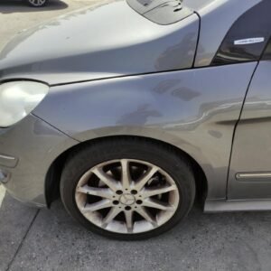 Aleta Delantera Izquierda Mercedes Benz Clase B (W245) B 180 CDI (109 cv)