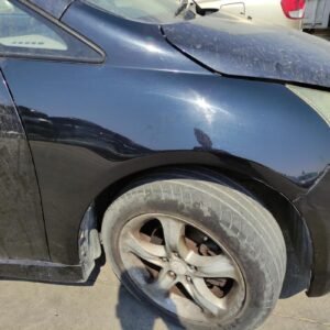 Aleta delantera derecha Mitsubishi Grandis 2.0 DI-D (136 cv)