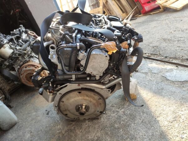 Motor Audi Q5 I 2.0 TDI (170 cv) quattro - Imagen 4