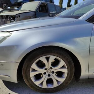 Aleta Delantera Izquierda Citroen C5 III (RD_) 2.0 HDi 140 (140cv)