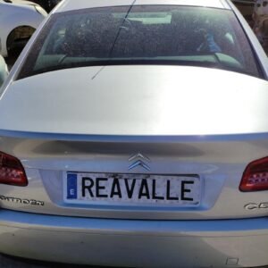 Porton trasero Citroen C5 III (RD_) 2.0 HDi 140 (140cv)