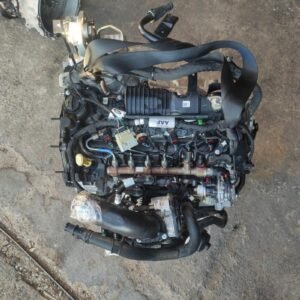 Motor Ford Ranger IV (2022) 2.0 EcoBlue 4x4 (170 CV)