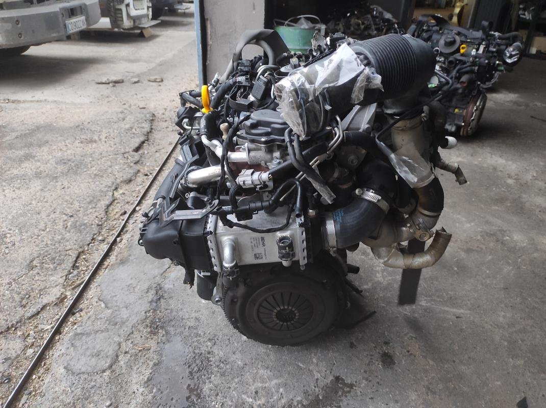 Motor Volkswagen Polo V (Versión 2014) 1.4 TDI (75 cv) - Imagen 4