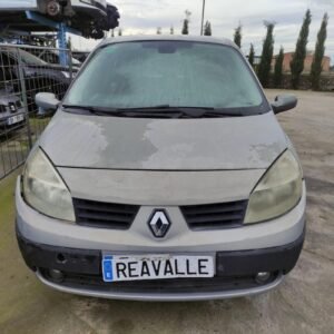 Despiece Renault Scenic II 1.9 dCi (120 cv) 2004