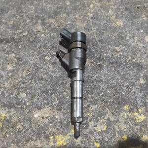 Inyector Peugeot 307 Station Wagon 2.0 HDi (107 cv)