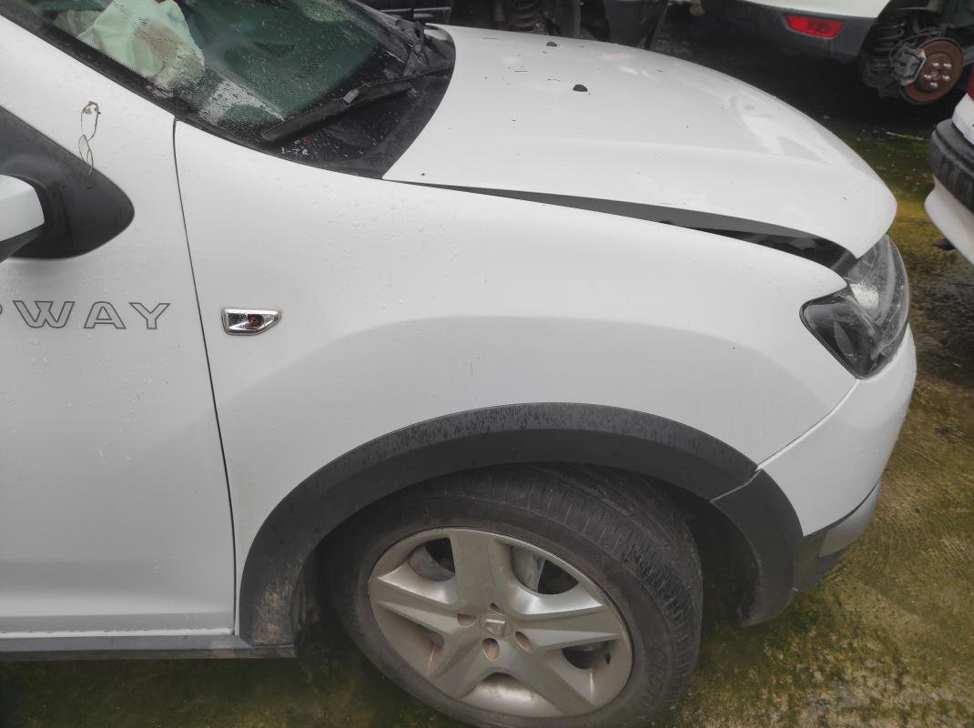 Aleta delantera derecha Dacia Sandero II 1.5 dCi (90 cv) FAP