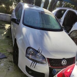 Despiece Volkswagen Golf V 2.0 TDI (140 cv) 2005