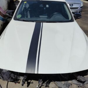 Capot Bmw Serie 3 (E90, Versión 2009) 318d (143 cv) Automatico