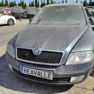 Despiece Skoda Octavia II 1.9 TDI (105 cv) 2005