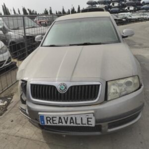 Despiece Skoda Superb II 1.9 TDI (115cv) 2009
