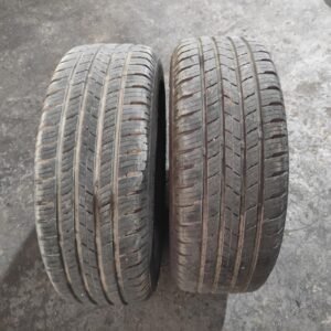 Juego de Neumáticos Excelsior 235/60R16.