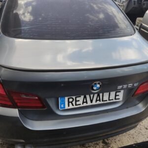Porton trasero Bmw Serie 5 Sedan (F10) 530d (245 cv)