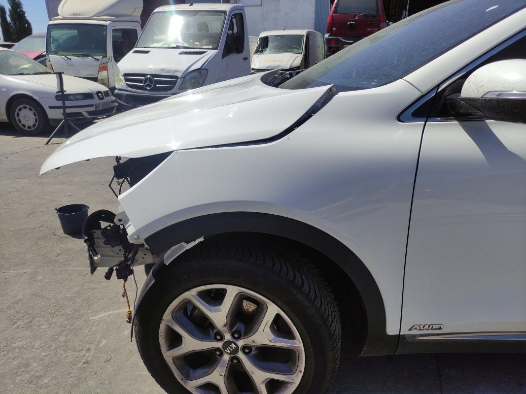 Aleta Delantera Izquierda Kia Sorento III 2.2 CRDi (200 cv) AWD Automatico