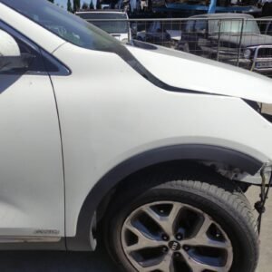 Aleta delantera derecha Kia Sorento III 2.2 CRDi (200 cv) AWD Automatico