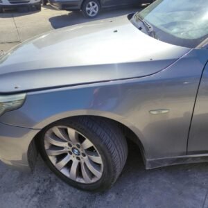 Aleta Delantera Izquierda Bmw Serie 5 (E60, Versión 2007) 520d (177 cv) Automatico