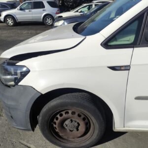 Aleta Delantera Izquierda Volkswagen Caddy IV Monospace 2.0 TDI (75cv)
