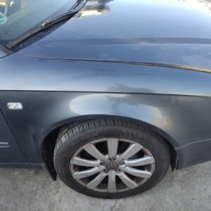 Aleta delantera derecha Audi A4 (B7 8E) 1.8 T (163 cv)