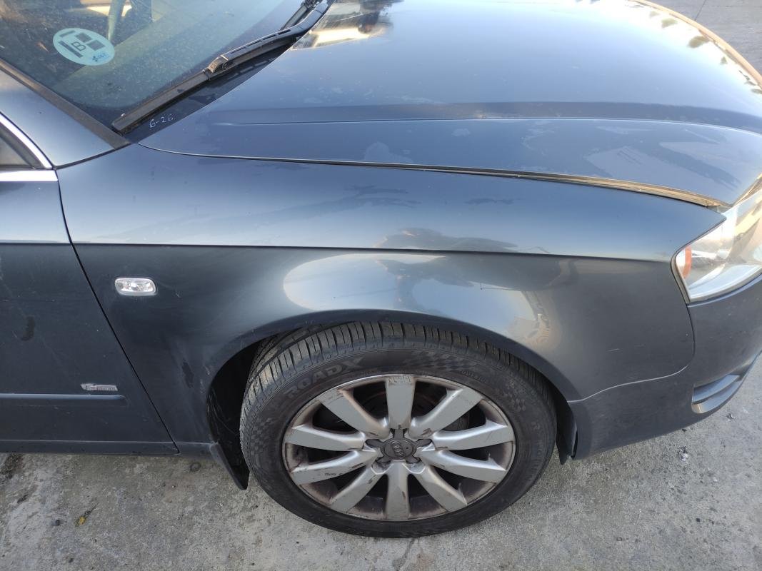 Aleta delantera derecha Audi A4 (B7 8E) 1.8 T (163 cv)