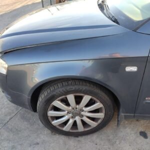 Aleta Delantera Izquierda Audi A4 (B7 8E) 1.8 T (163 cv)