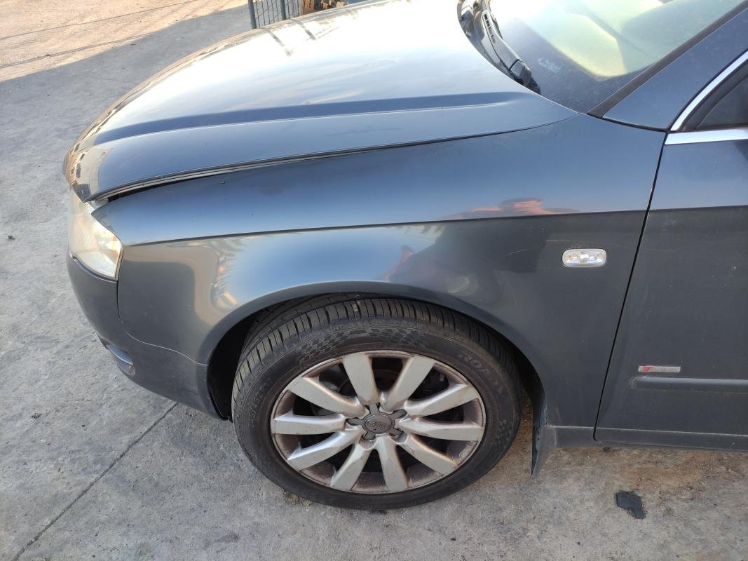 Aleta Delantera Izquierda Audi A4 (B7 8E) 1.8 T (163 cv)