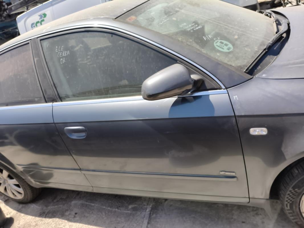 Puerta delantera derecha Audi A4 (B7 8E) 1.8 T (163 cv)